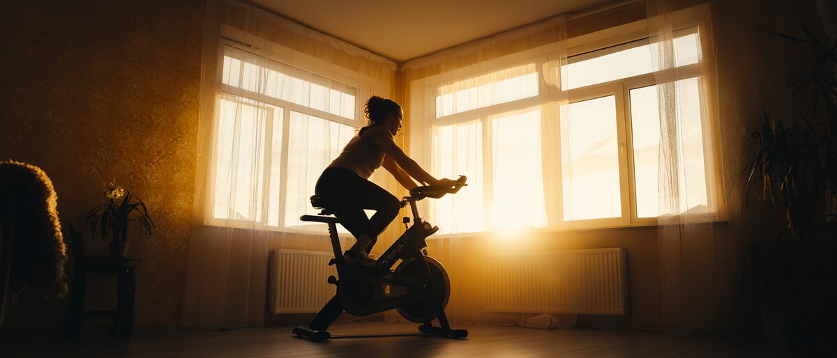 Exercise bike - picture