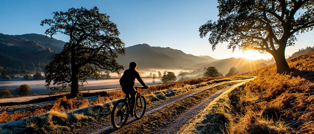 recreational hardtail trail bike